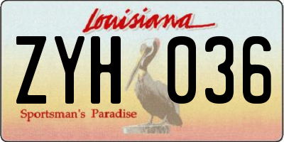 LA license plate ZYH036