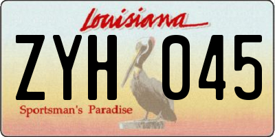 LA license plate ZYH045