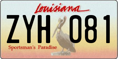 LA license plate ZYH081