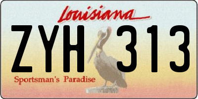 LA license plate ZYH313