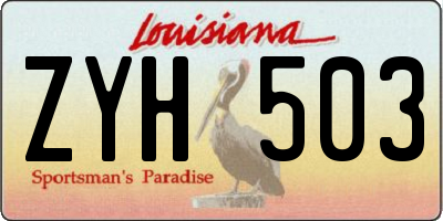 LA license plate ZYH503