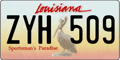 LA license plate ZYH509