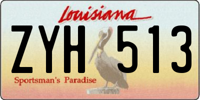LA license plate ZYH513