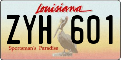 LA license plate ZYH601