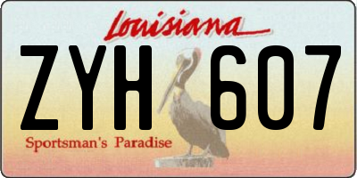 LA license plate ZYH607