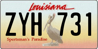 LA license plate ZYH731