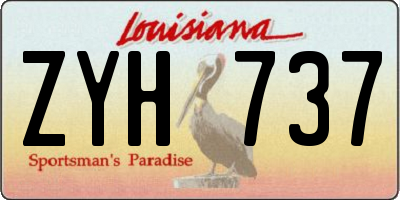 LA license plate ZYH737