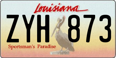 LA license plate ZYH873