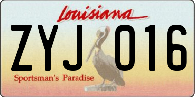 LA license plate ZYJ016