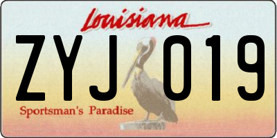 LA license plate ZYJ019