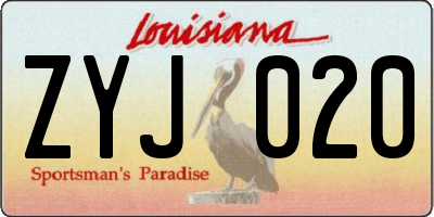 LA license plate ZYJ020