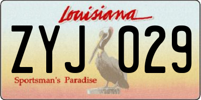 LA license plate ZYJ029