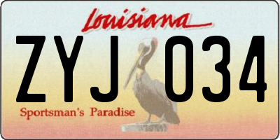 LA license plate ZYJ034