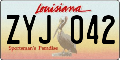 LA license plate ZYJ042