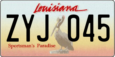 LA license plate ZYJ045