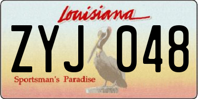 LA license plate ZYJ048