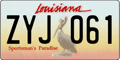 LA license plate ZYJ061