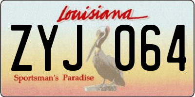 LA license plate ZYJ064