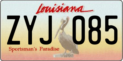 LA license plate ZYJ085