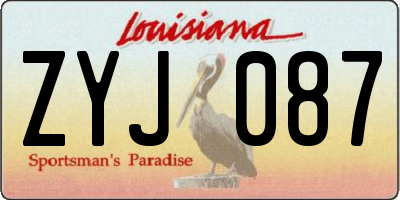 LA license plate ZYJ087