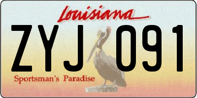 LA license plate ZYJ091