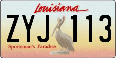 LA license plate ZYJ113