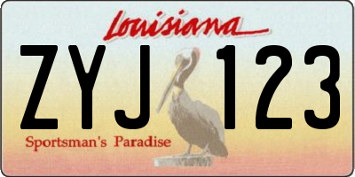 LA license plate ZYJ123