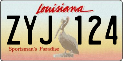 LA license plate ZYJ124