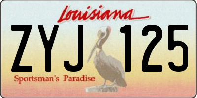 LA license plate ZYJ125