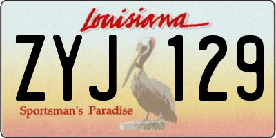 LA license plate ZYJ129