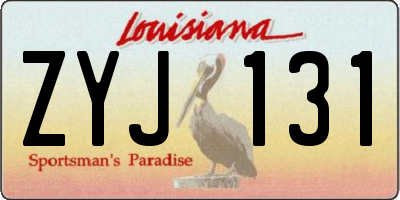 LA license plate ZYJ131