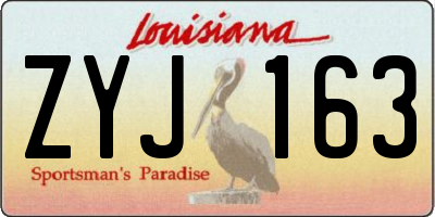 LA license plate ZYJ163
