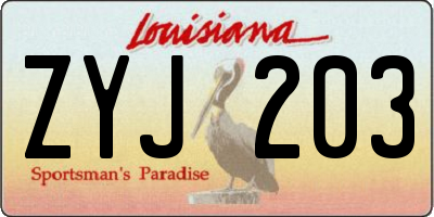 LA license plate ZYJ203