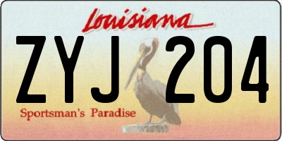 LA license plate ZYJ204