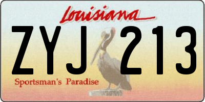 LA license plate ZYJ213