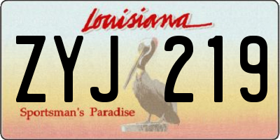 LA license plate ZYJ219