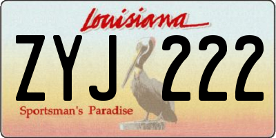 LA license plate ZYJ222
