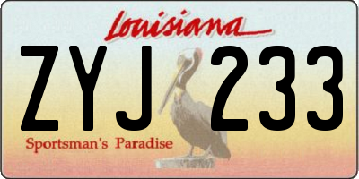 LA license plate ZYJ233