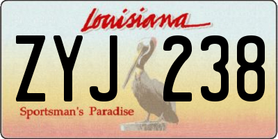 LA license plate ZYJ238