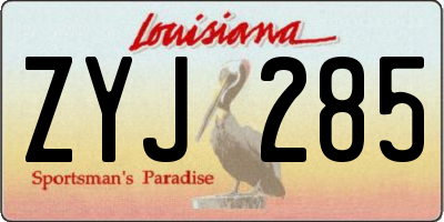 LA license plate ZYJ285