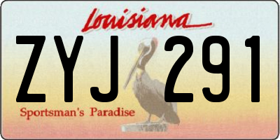 LA license plate ZYJ291