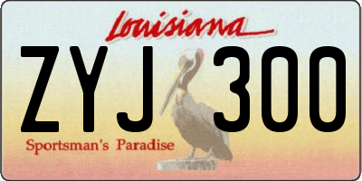 LA license plate ZYJ300