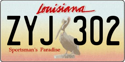 LA license plate ZYJ302