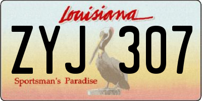 LA license plate ZYJ307