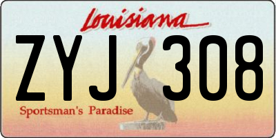 LA license plate ZYJ308
