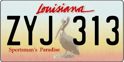 LA license plate ZYJ313