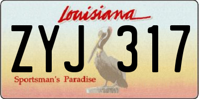 LA license plate ZYJ317