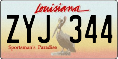 LA license plate ZYJ344