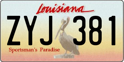 LA license plate ZYJ381