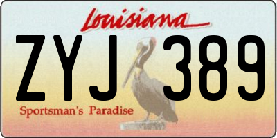 LA license plate ZYJ389